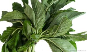 6ce9a3adfa52f8b25933a3ff6eb2cfb6bba0847b Fresh Tete Leaves
