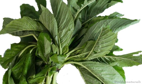 Fresh Tete Leaves