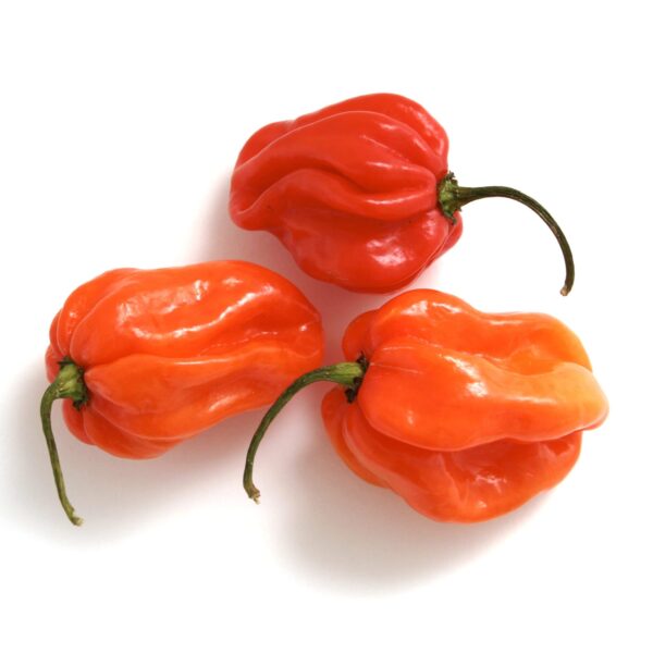 Fresh Scotch Bonnet Pepper 500g